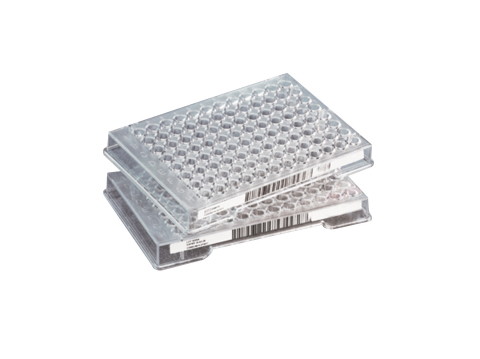 Now Available for Antimicrobial Susceptibility Testing, Dalbavancin on FDA-Cleared Microbroth Dilution Susceptibility Plates