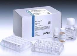 Lonza to Expand the Availability of the RAFT™ 3D Cell Culture System