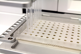 Increasing Pipetting Workflow Efficiency 