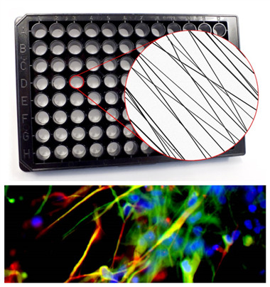 AMSBIO: Easily Automated 3D Cell Culture Growth