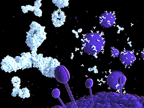AMSBIO:Fc Receptor Protein Collection