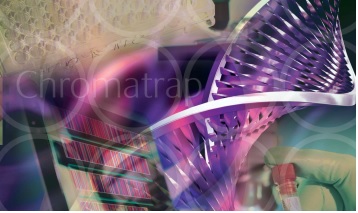 Simple & Efficient Protocol for Native Chromatin Immunoprecipitation  