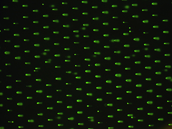High-throughput 96-Well Array for Direct Measurement of DNA Damage