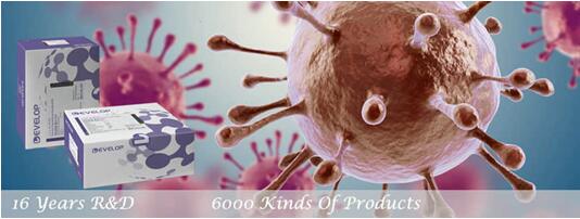 Dldevelop Launches the Latest Promotiom Policy for Elisa Kits (Deadline:August 31,2016)