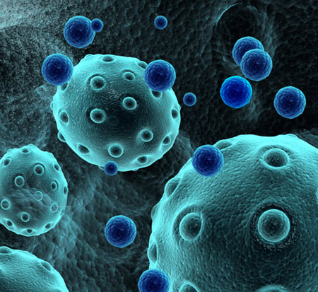 AMSBIO:High Quality Products for Exosome Research