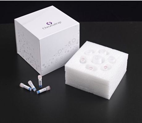 Chromatrap: Wide Range of Epigenetic Assay Kits for Genomic Research