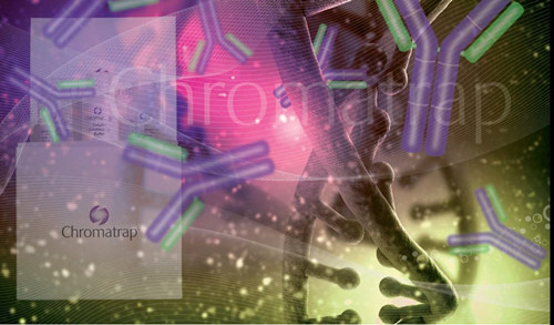 ChromaTrap: Validated Antibodies for Mammalian Epigenetic Research