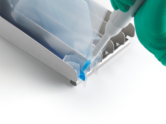 Inlabtec Homogenizer Bags
