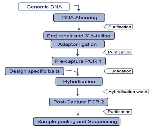 LPK Figure 4