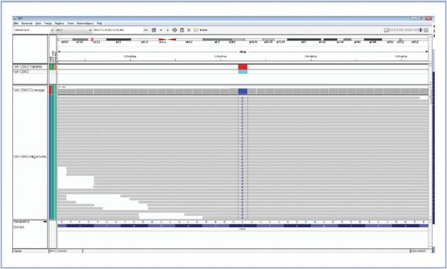Myeloid Panel Figure 2