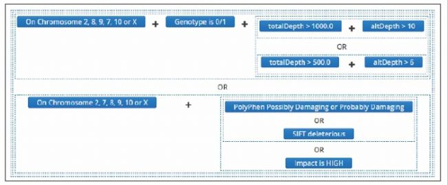 Example of SureSeq Interpret filtering
