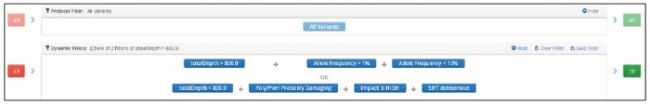 SureSeq Interpret filtering exists on two levels