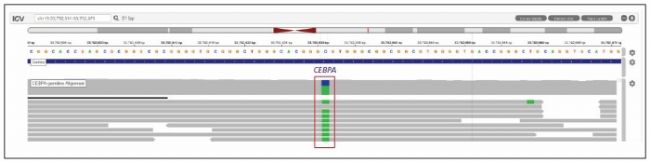 Detection of a germline SNV in CEBPA
