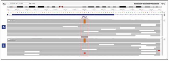 Detection of low frequency somatic variants