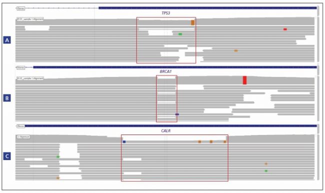 Detection of a variety of indels of different sizes