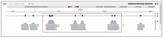 Detection of a gain of exons 9 14 of the LDLR gene