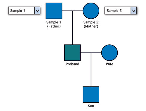fig4 interpret