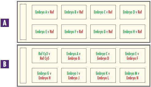 EmbryoScreen3