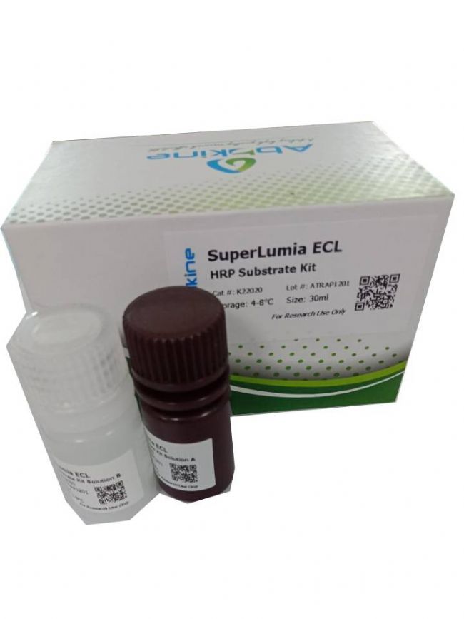Abbkine SuperLumia ECL substrates is a series of premixed, ready-to-use chemiluminescent reagents for the detection of HRP-based Westerns