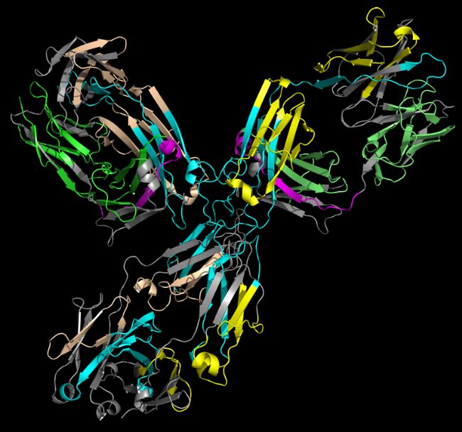 https://gnxtech.com/wp-content/uploads/2019/01/GenNext-adalimumab-figure_800W.png